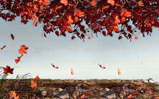 Fintech Innovation: The Real Benefits & Risks, According to the Data