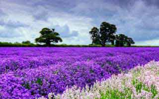 Massive Rally Loading: 5 Altcoins Rebounding for 2x-5x Potential: What's the Catch?