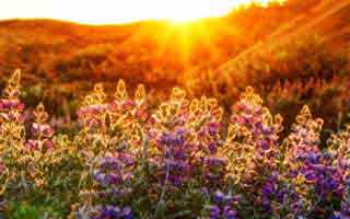 Retirement Age: What's Changing and What to Know